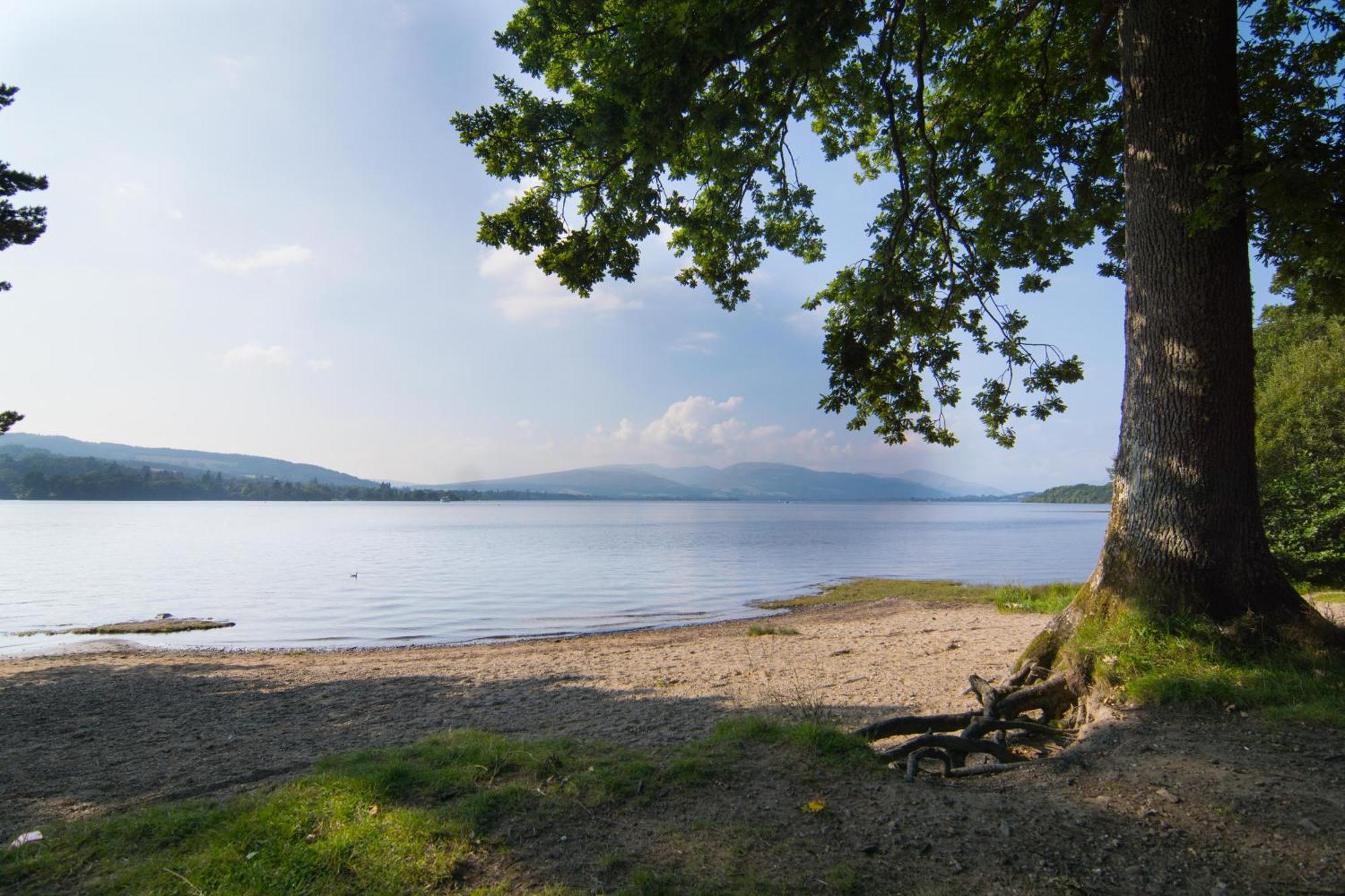 Norwood Guesthouse-Loch Lomond Balloch Rom bilde